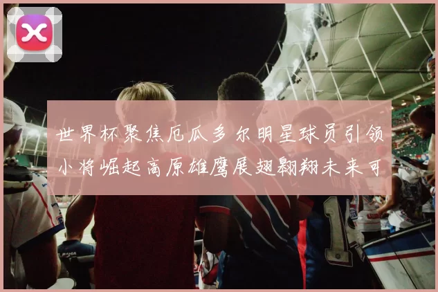世界杯聚焦厄瓜多尔明星球员引领小将崛起高原雄鹰展翅翱翔未来可期