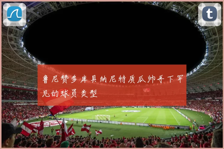 鲁尼赞多库具纳尼特质瓜帅手下罕见的球员类型